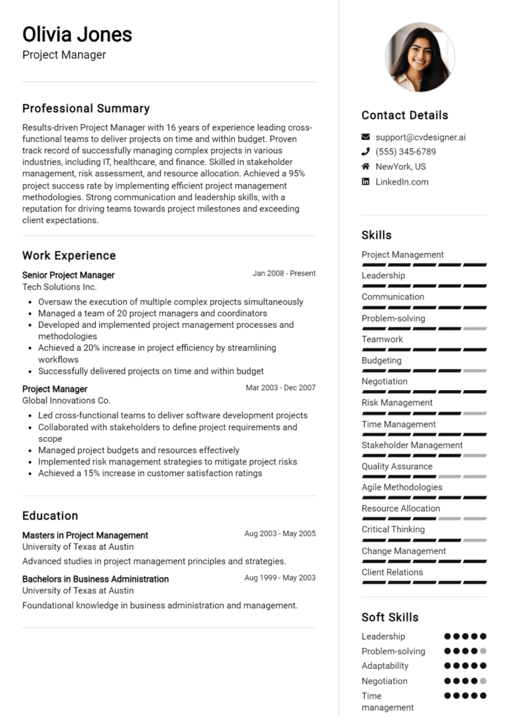 Technical Project Manager Cv Examples And Templates For