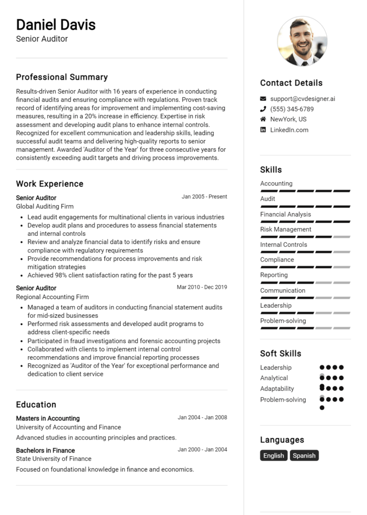 Senior Internal Auditor Resume Examples And Templates For