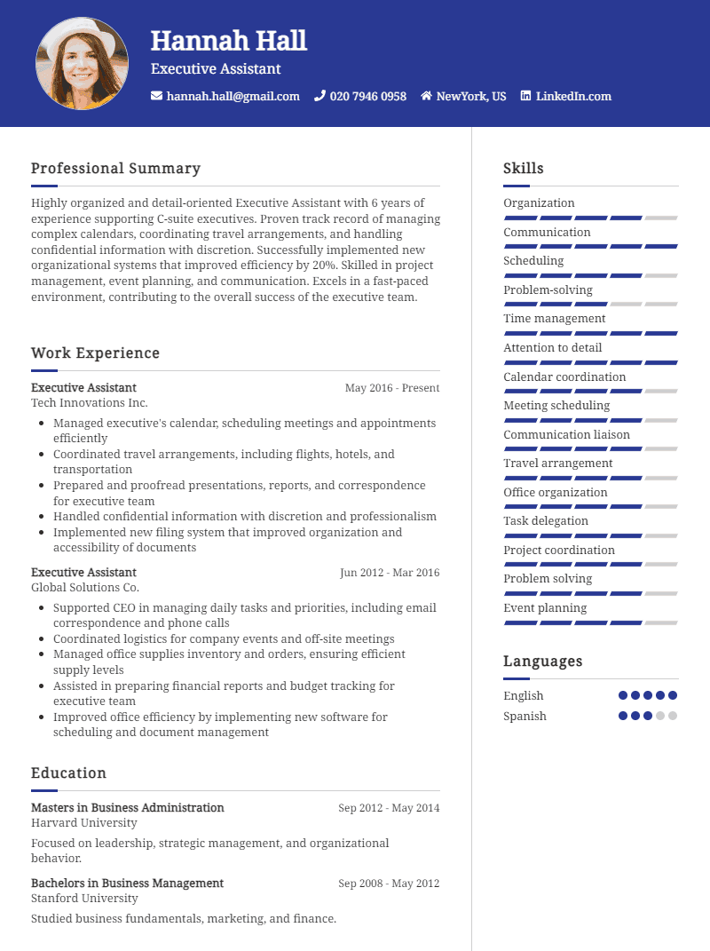 Professional CV Template