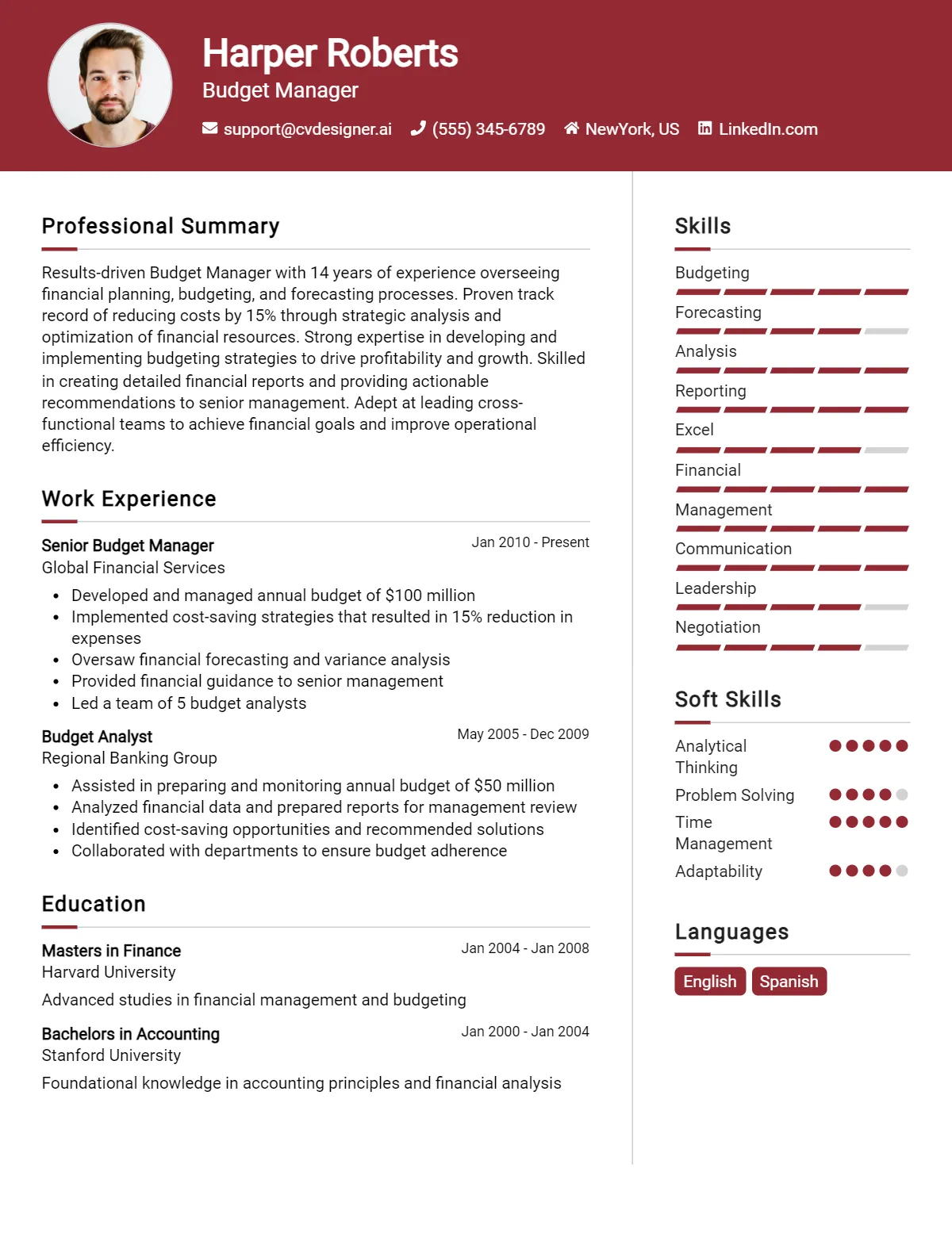 Budget Manager CV Example