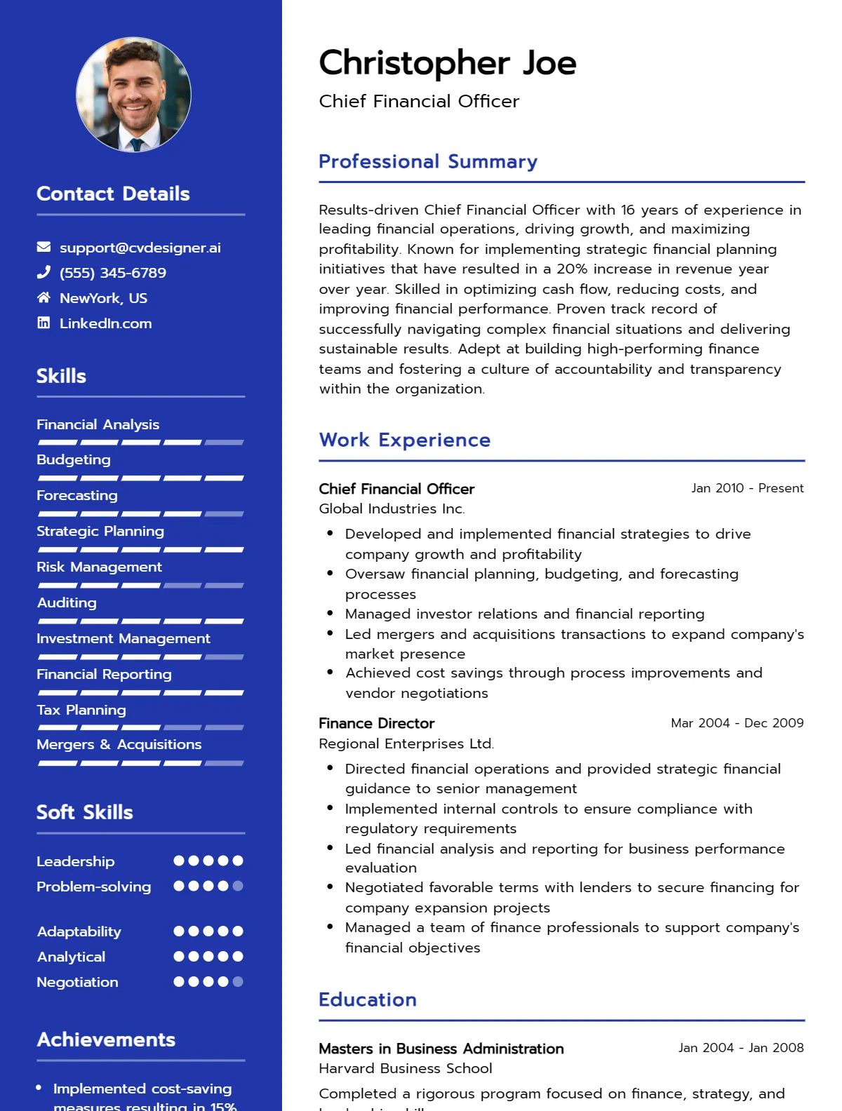 Chief Financial Officer CV Sample