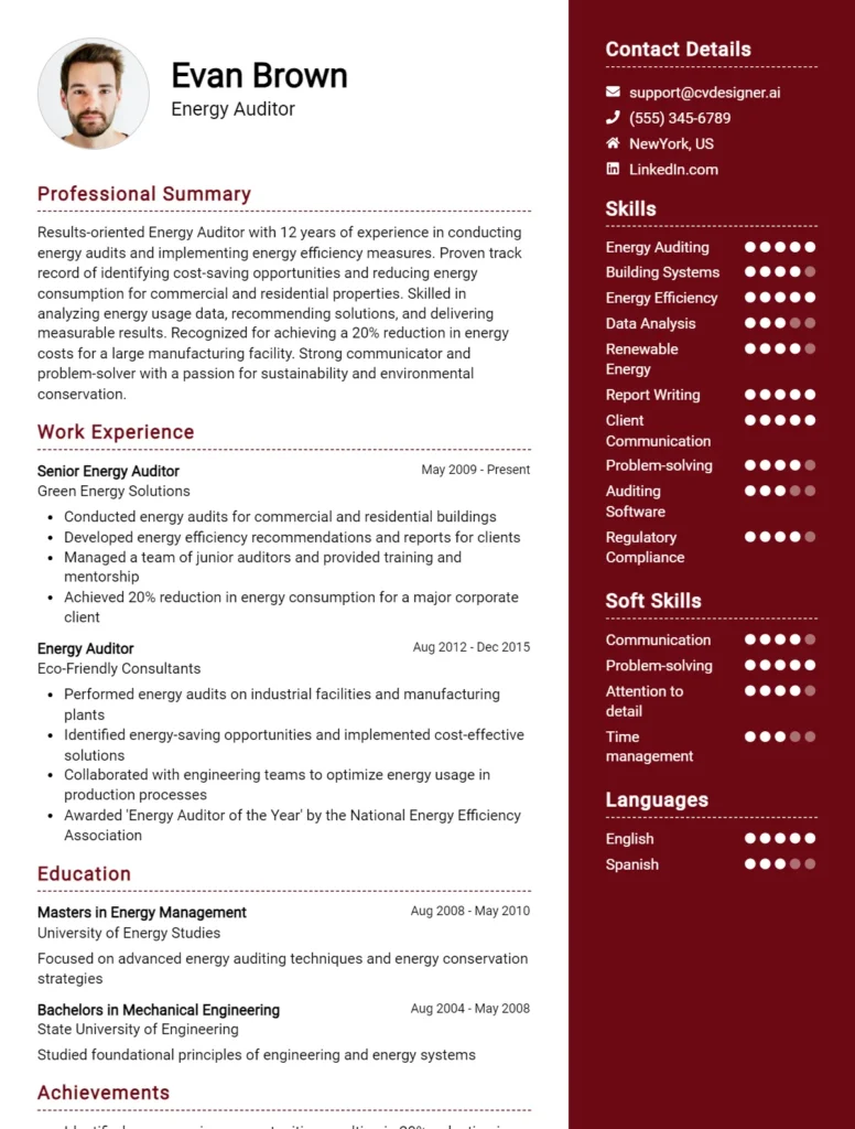 Energy Auditor CV Example