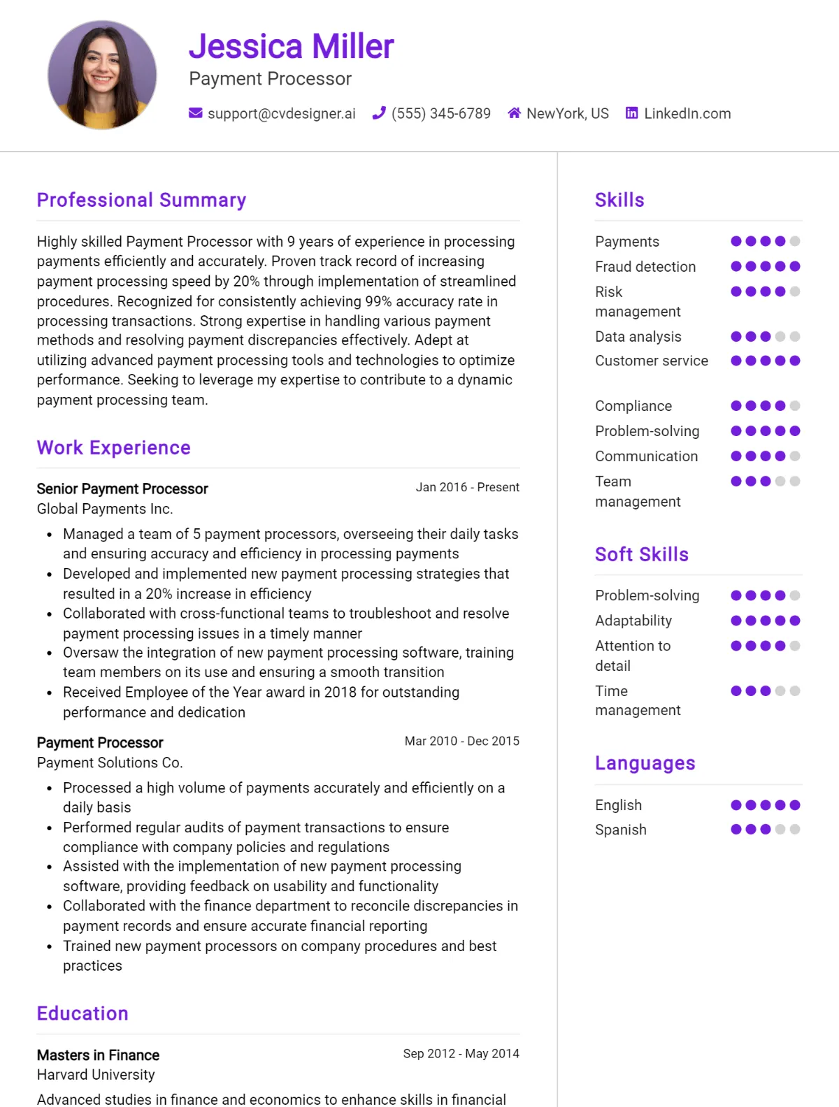 Payment Processor CV Example 1