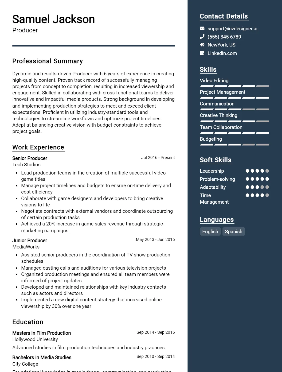 Producer CV Example For 2024: Best Tips & Templates - CVDesigner.ai