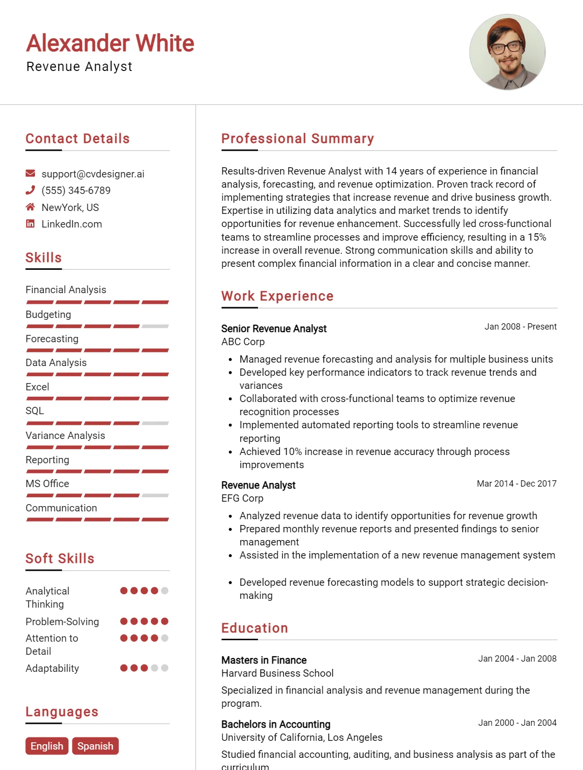 Revenue Analyst CV Example
