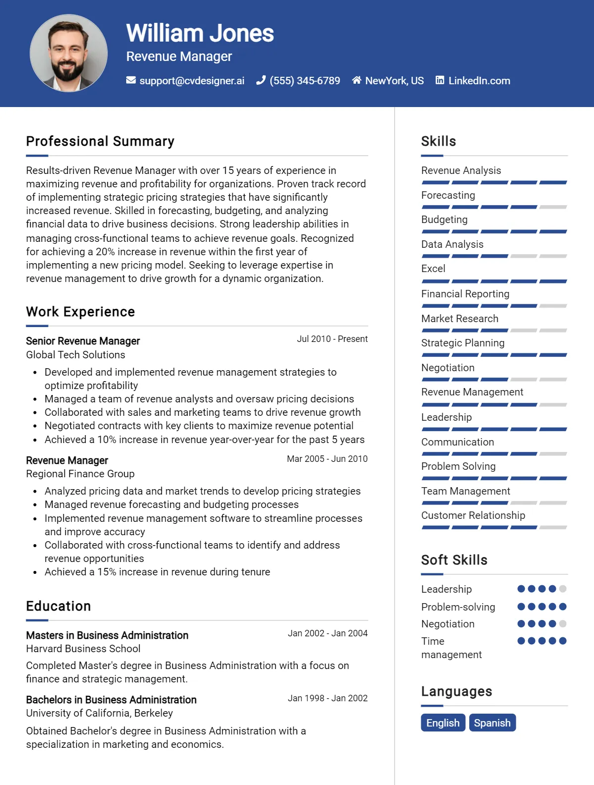 Revenue Manager CV Example