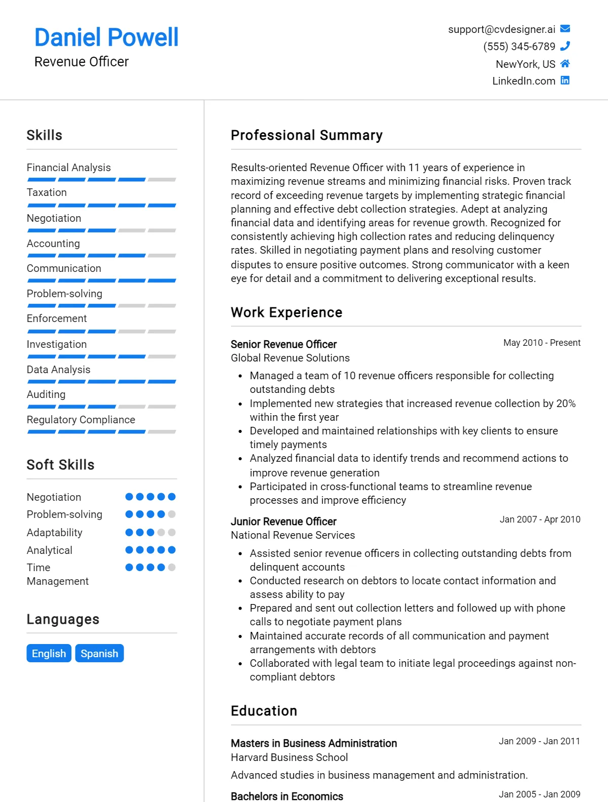 Revenue Officer CV Example