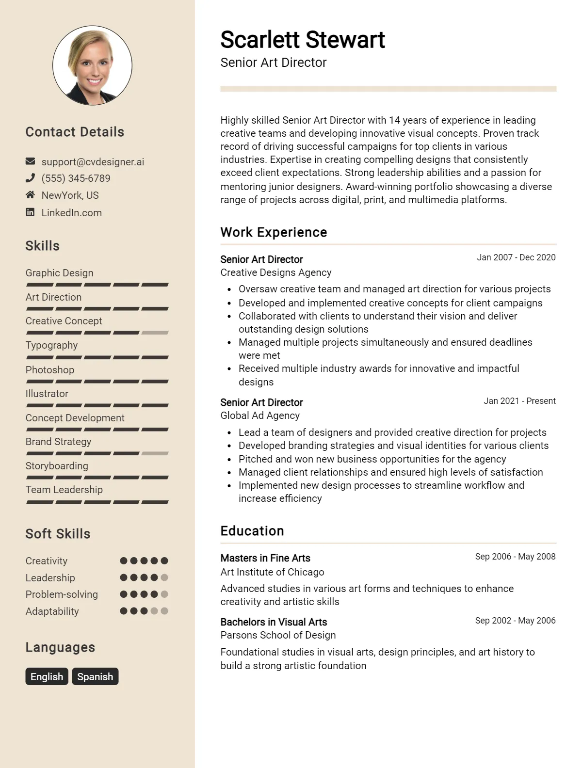 Senior Art Director CV Example
