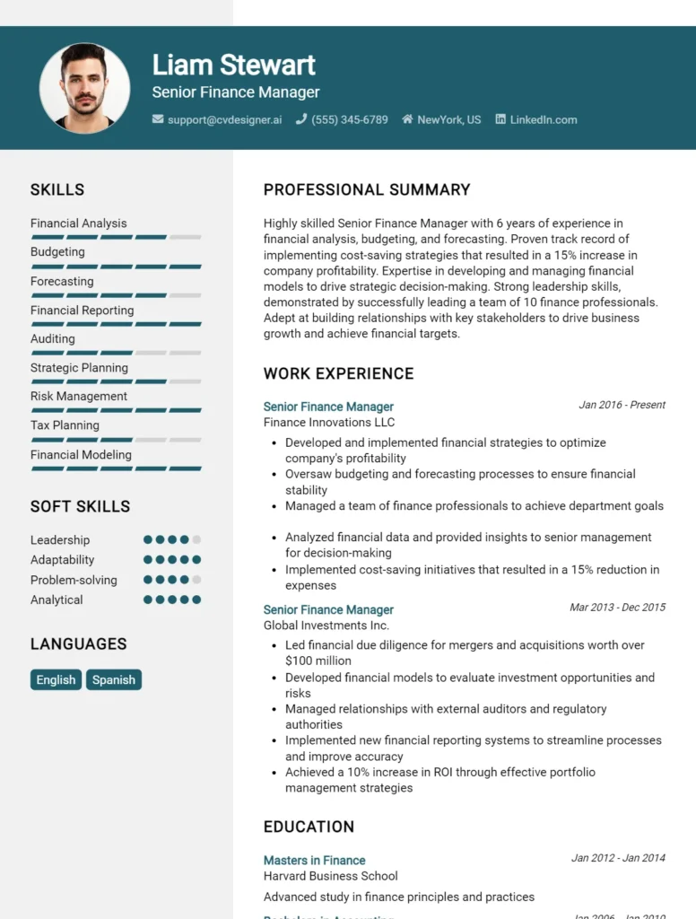 Senior Finance Manager CV Example