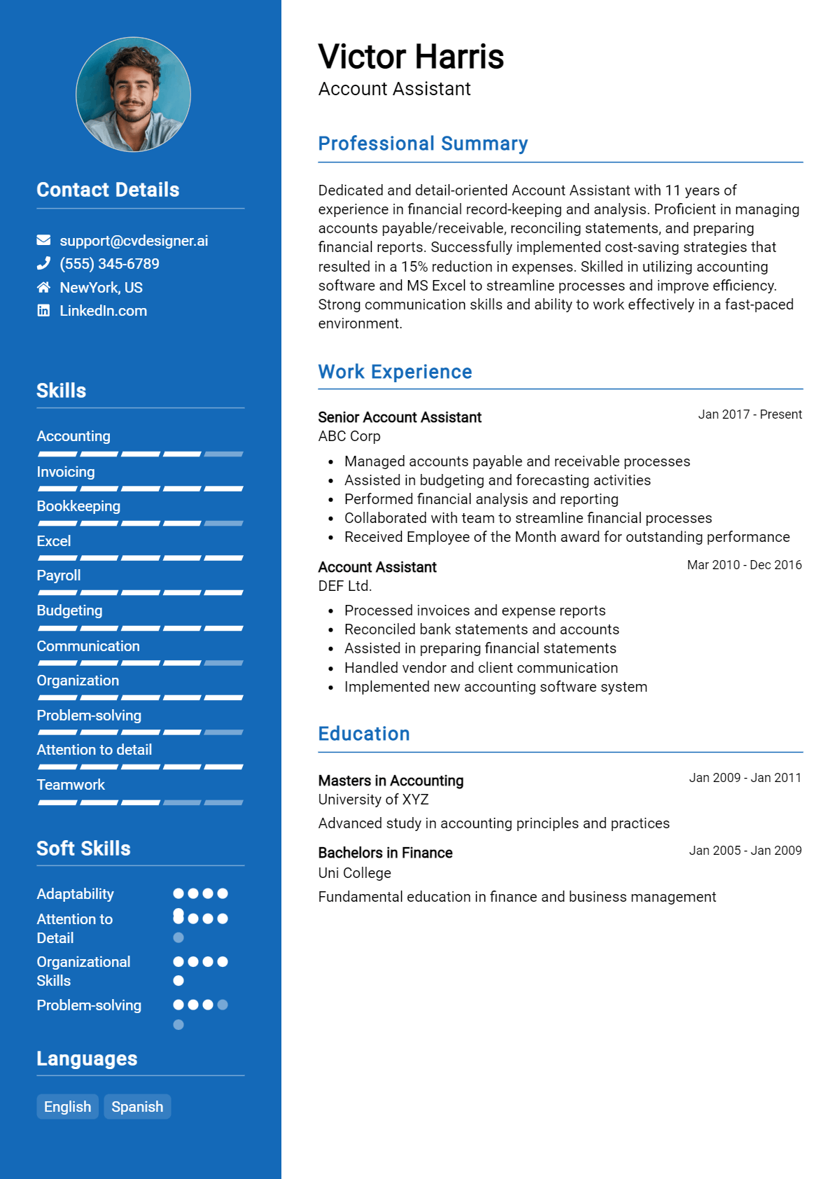 Account Assistant Resume Example