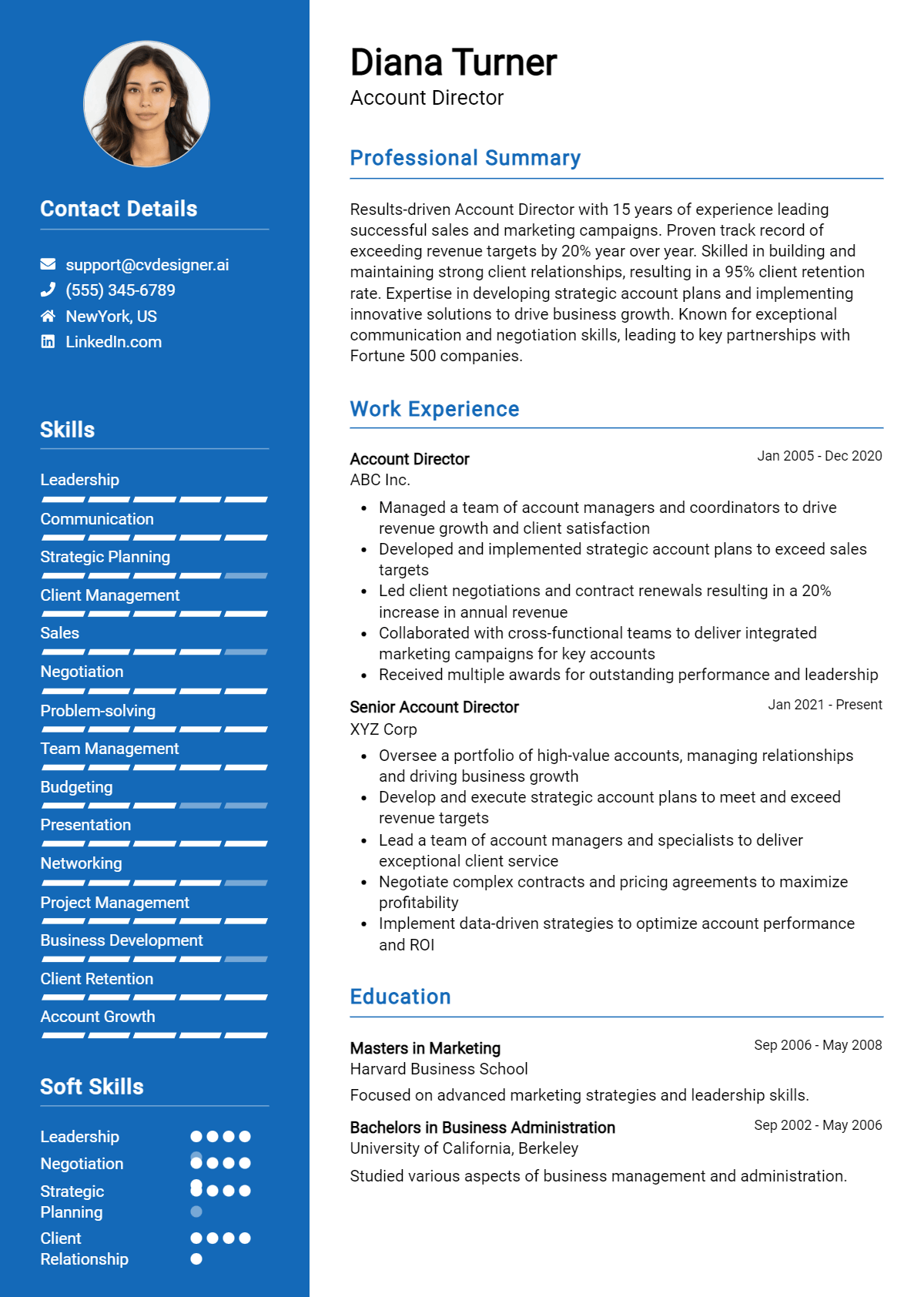 Account Director Resume Example