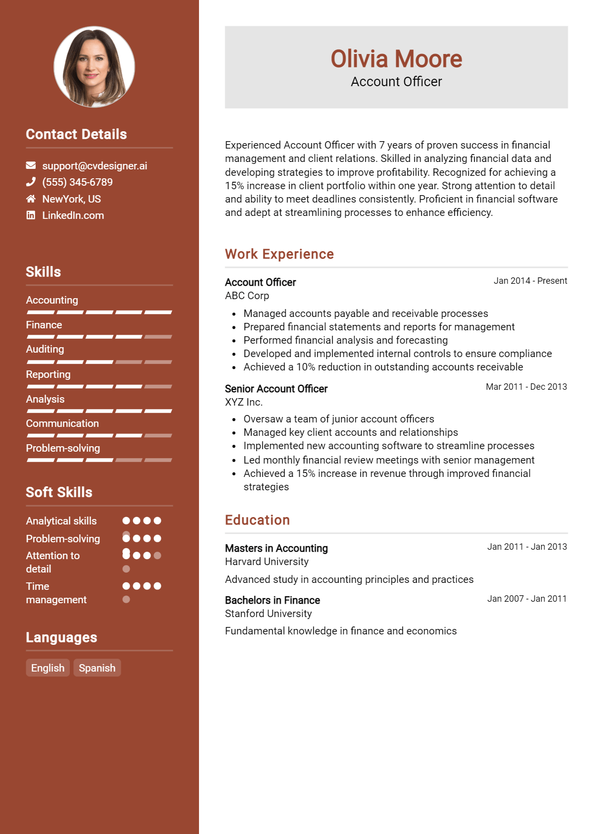 Account Officer Resume Example