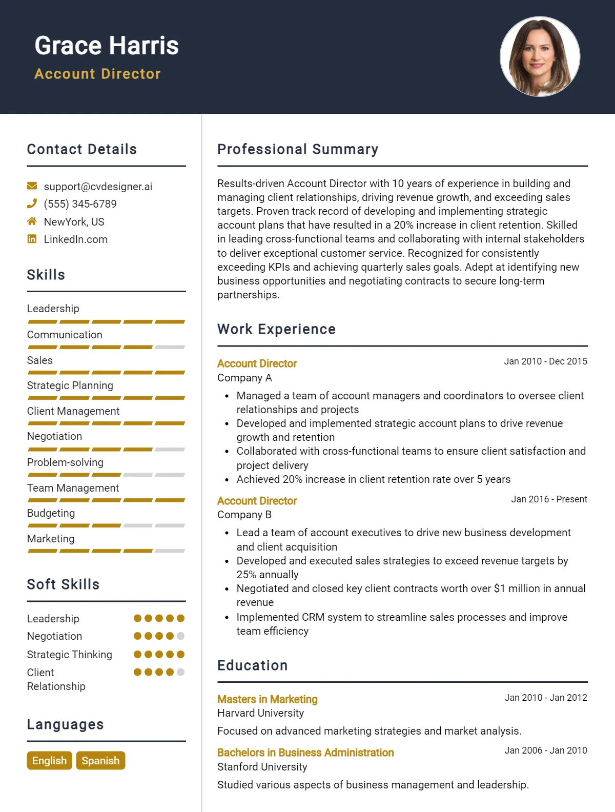 Account Director CV Example