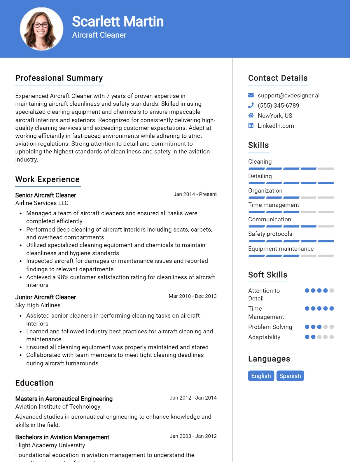 Aircraft Cleaner CV Example