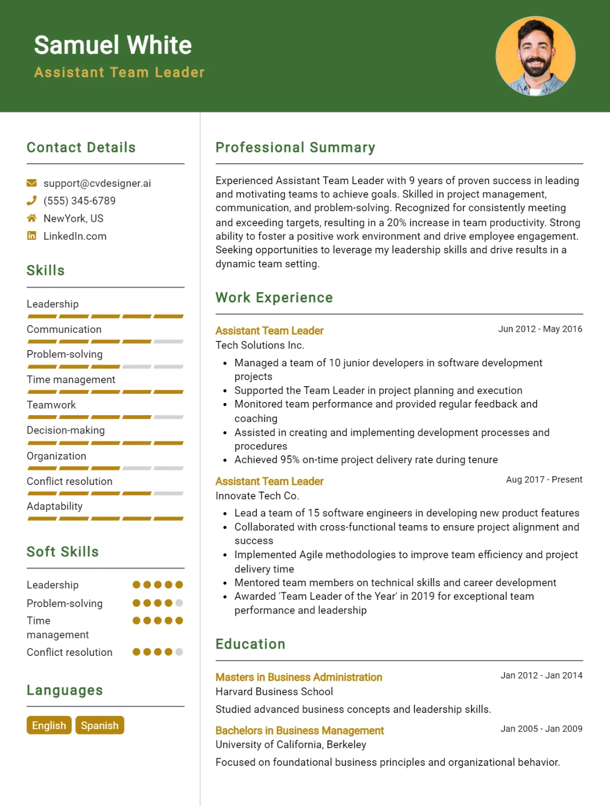 Assistant Team Leader CV Example