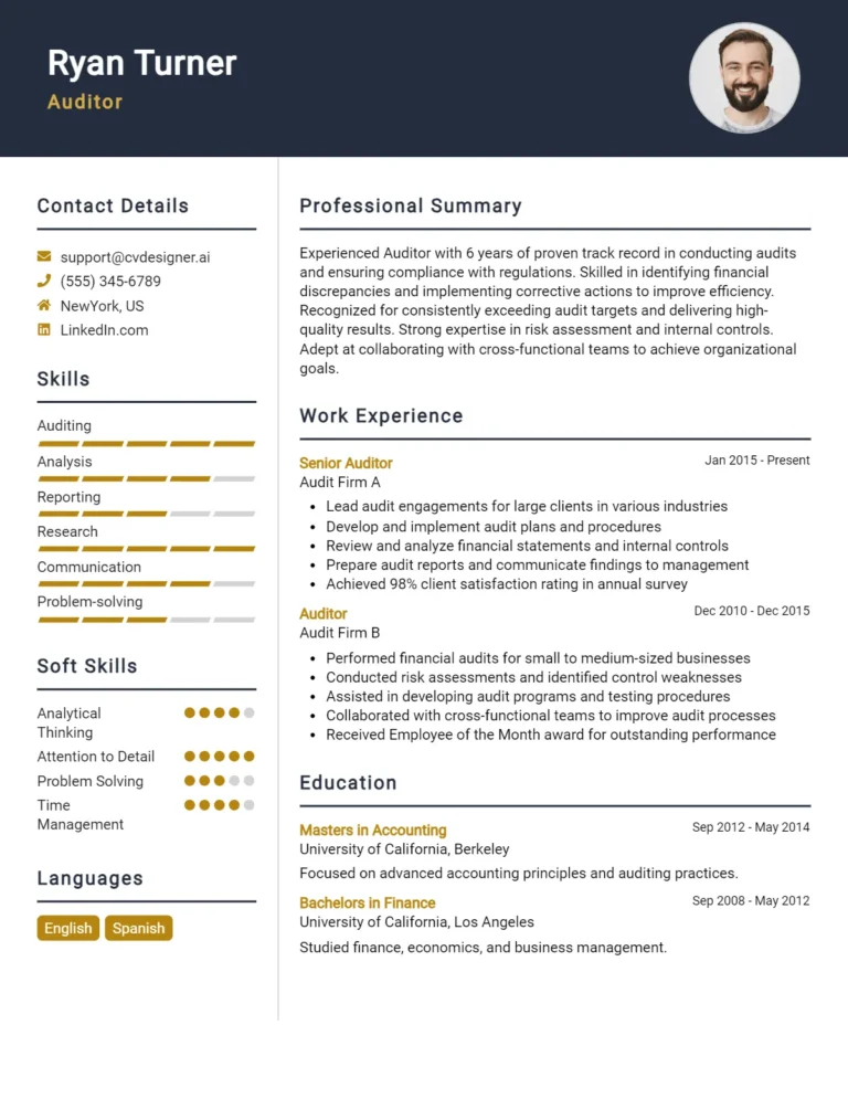 12 Auditor CV Examples And Templates For 2025: Ultimate Guide