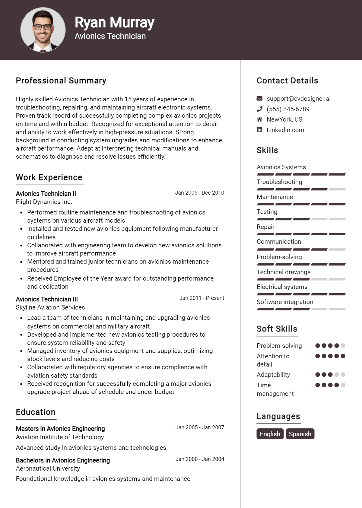 Avionics Technician Resume Example