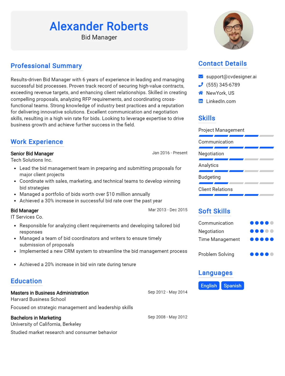 Bid Manager CV Example