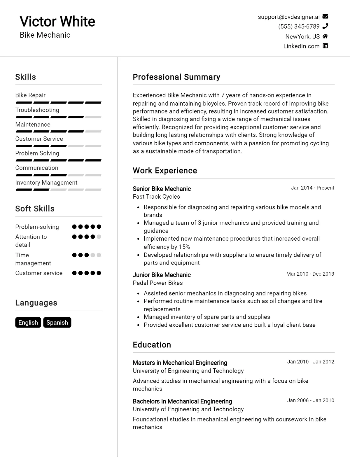 Bike Mechanic CV Example