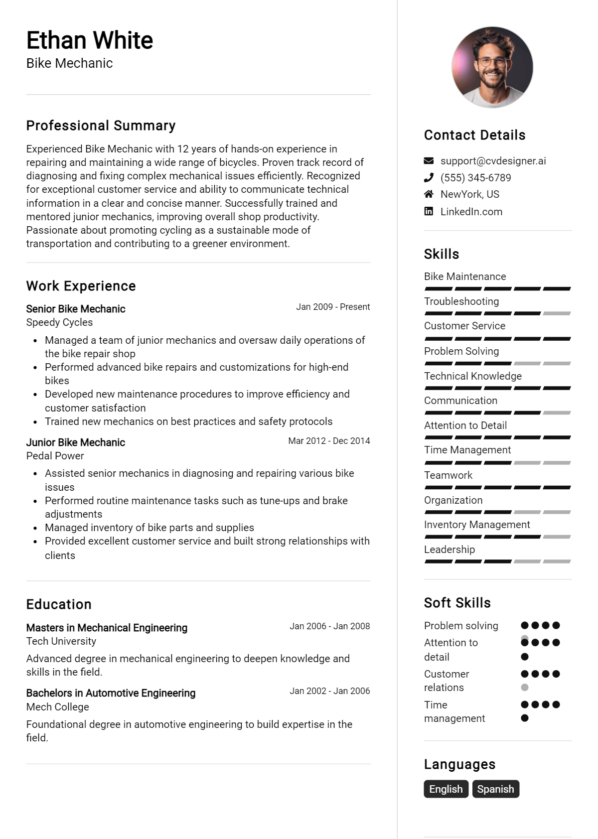 Bike Mechanic Resume Example