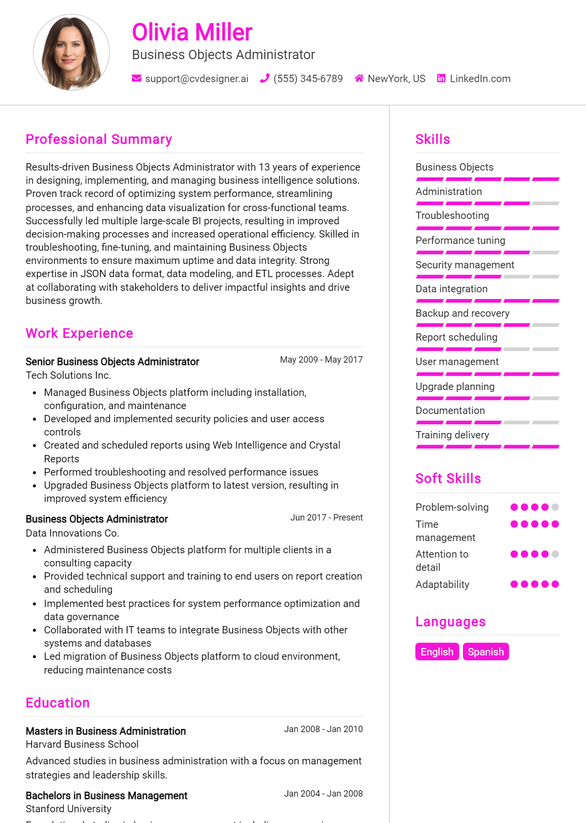 Business Objects Administrator Resume Example