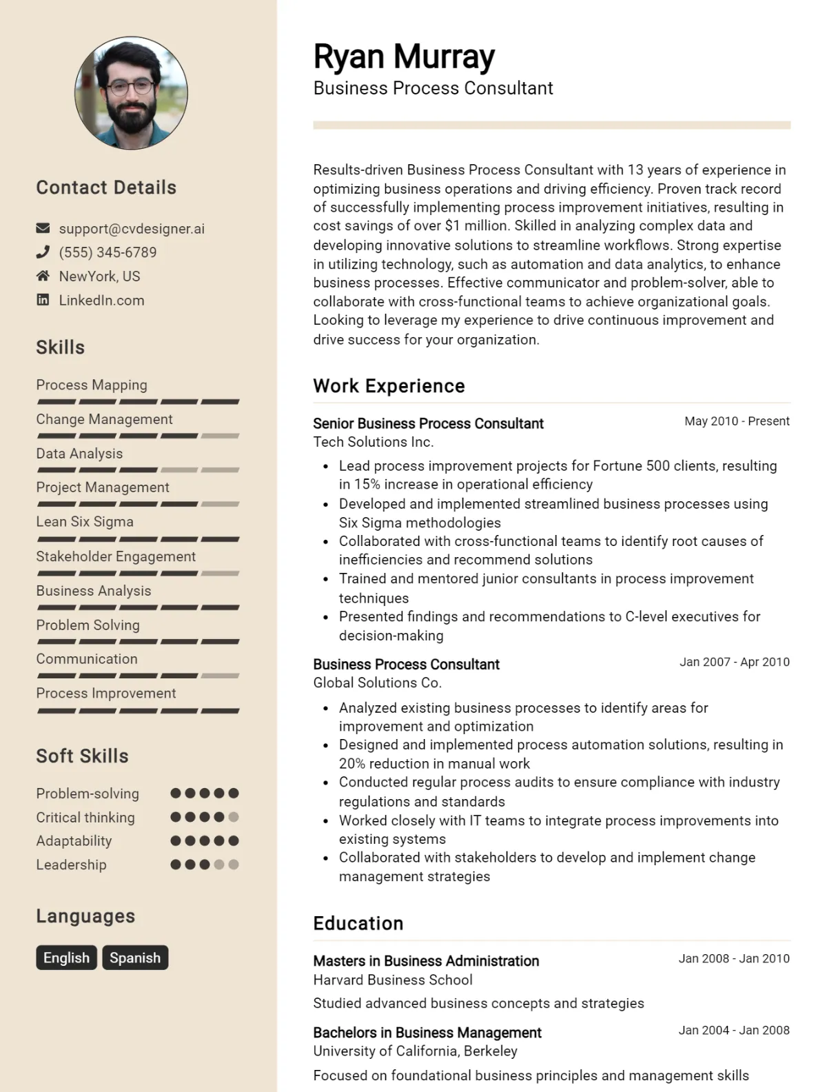 Business Process Consultant CV Example