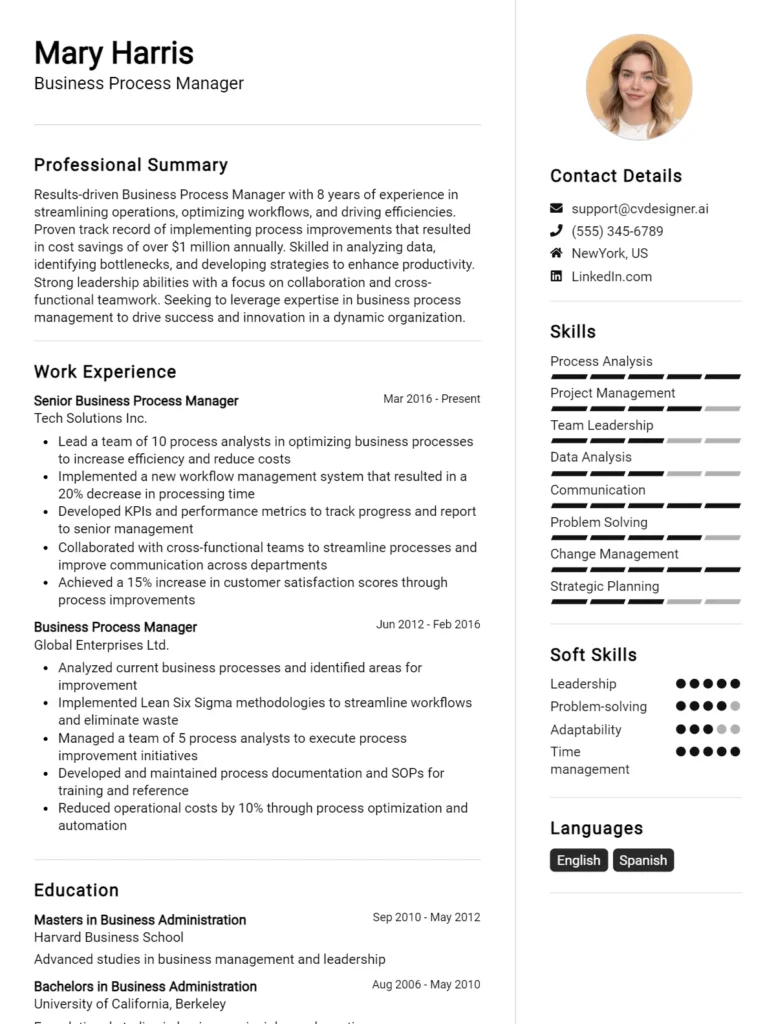 Business Process Manager CV Example