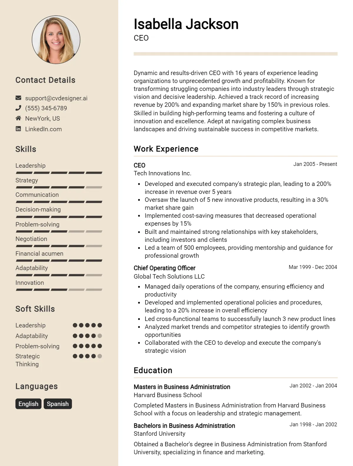 CEO CV Example