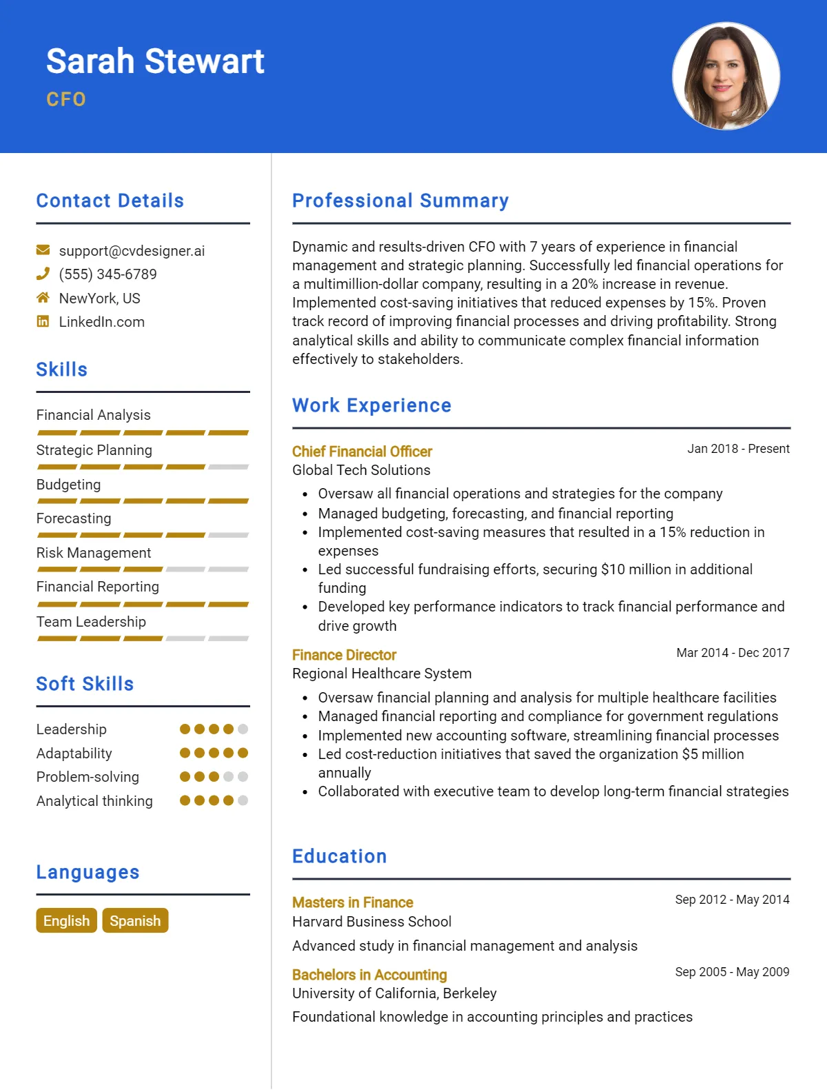 CFO CV Example