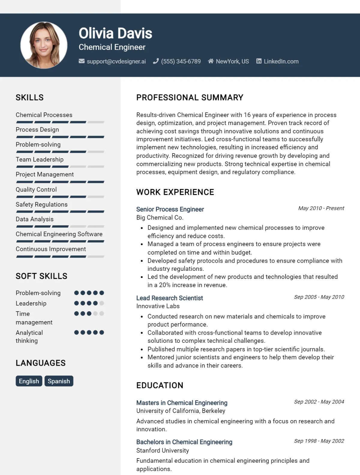 Chemical Engineer CV Example For 2024: Strategies & Templates ...