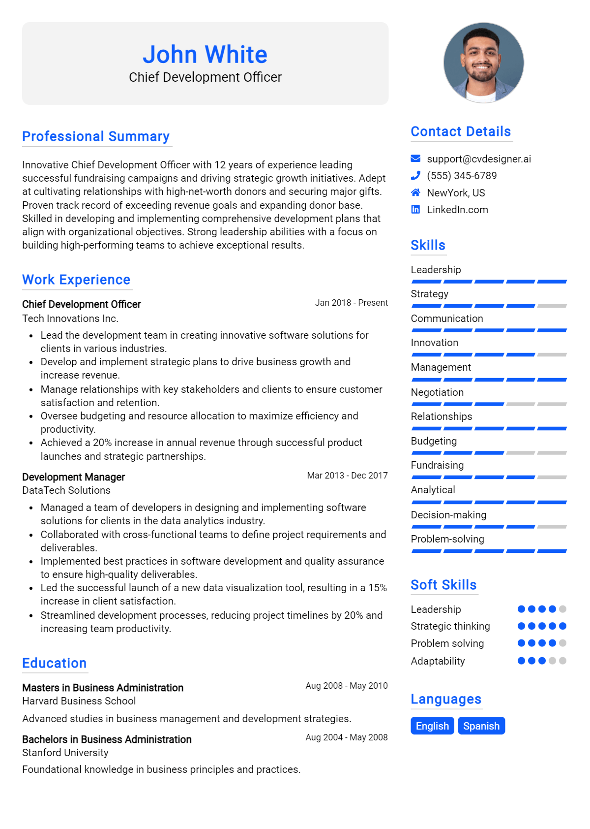 Chief Development Officer Resume Example