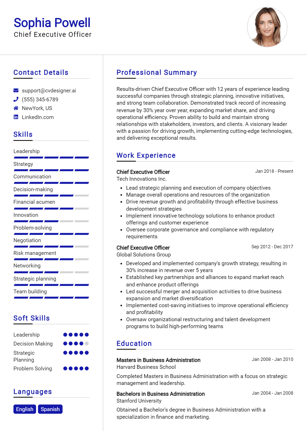 Chief Executive Officer Resume Example