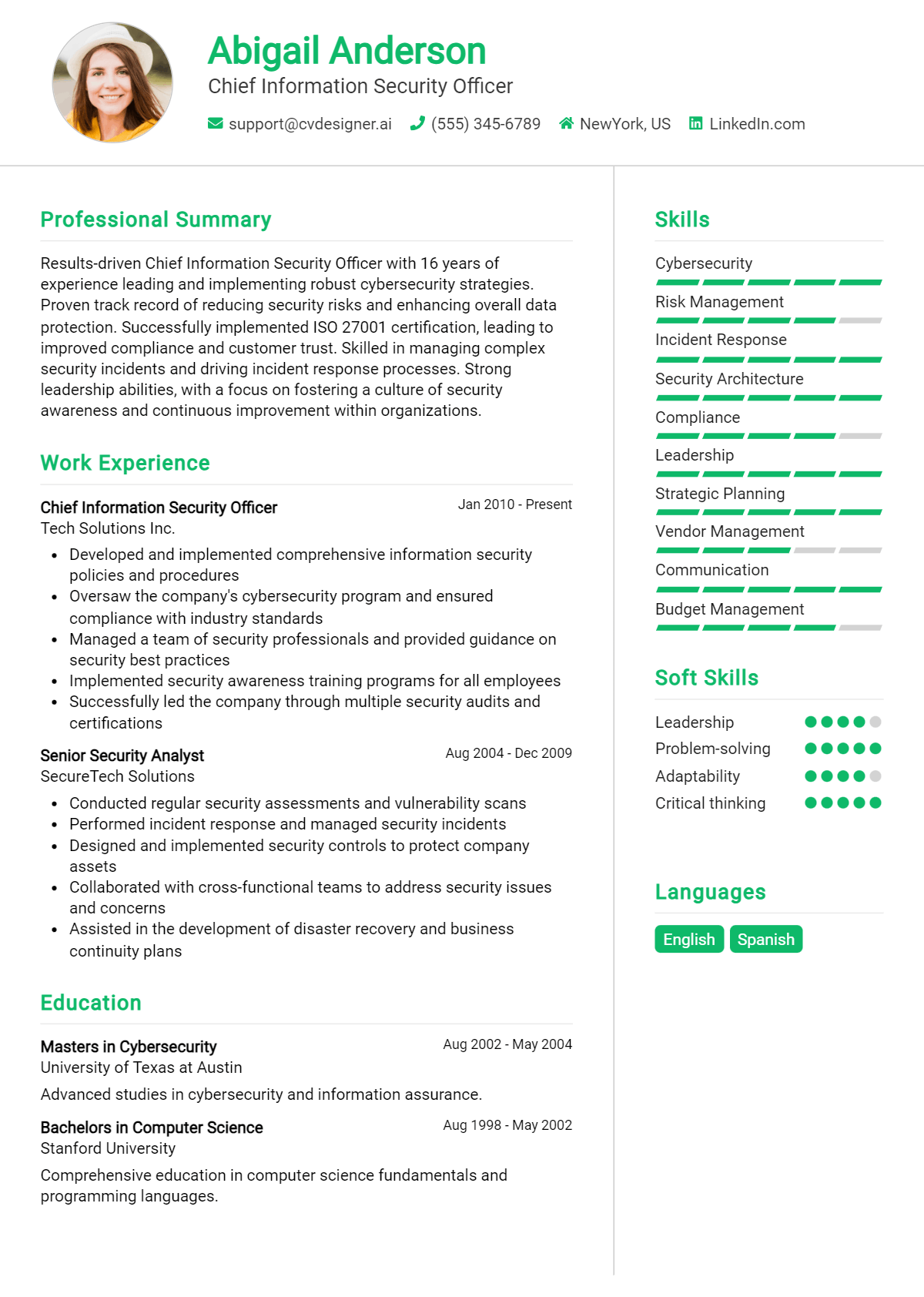 Chief Information Security Officer Resume Example
