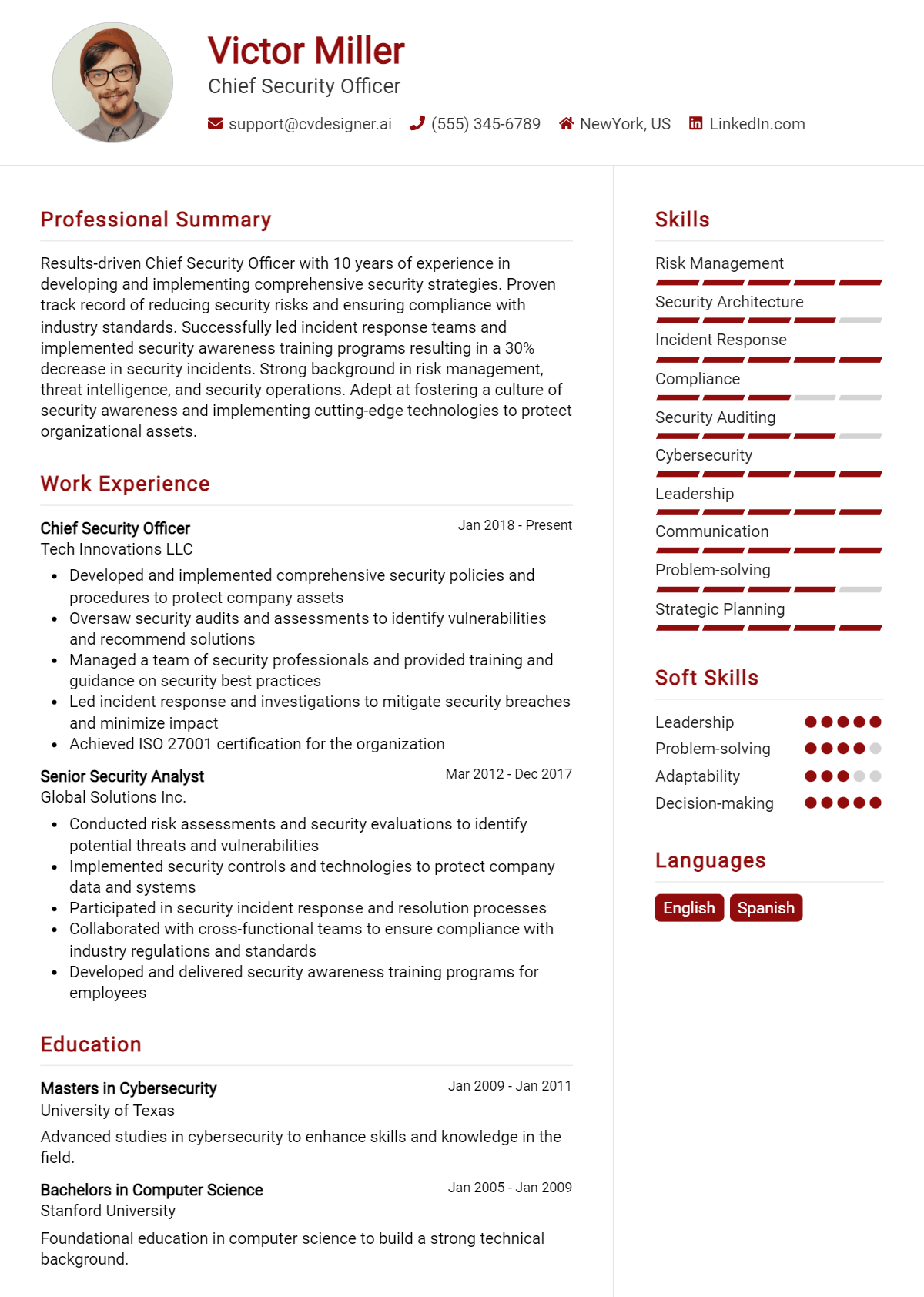 Chief Security Officer Resume Example