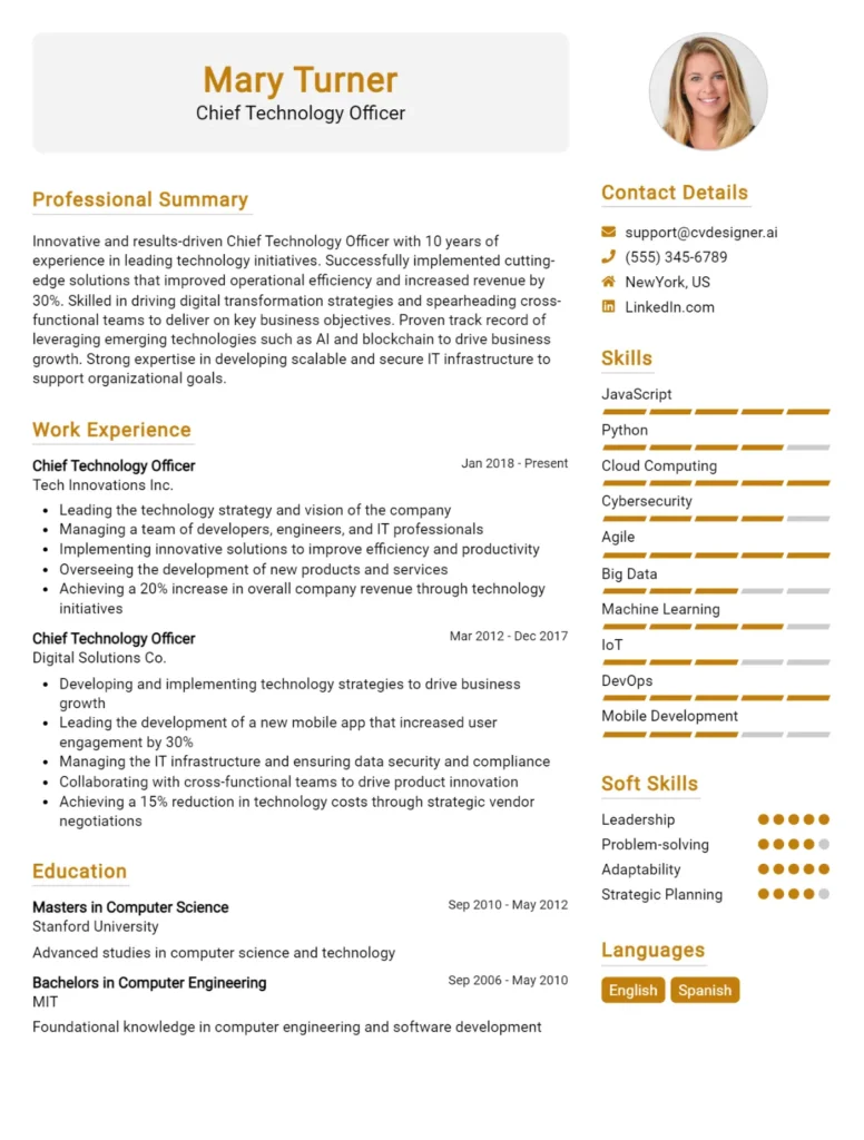 Chief Technology Officer CV Example