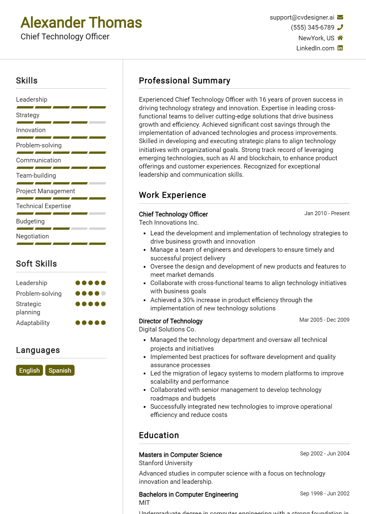 Chief Technology Officer Resume Example