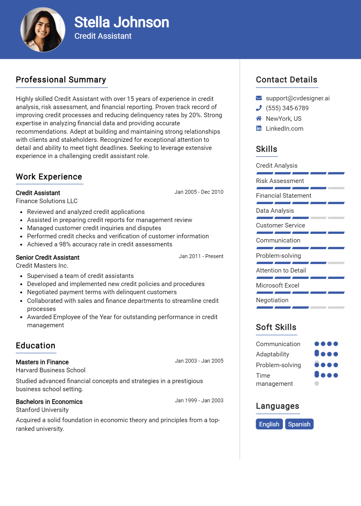 Credit Assistant Resume Example