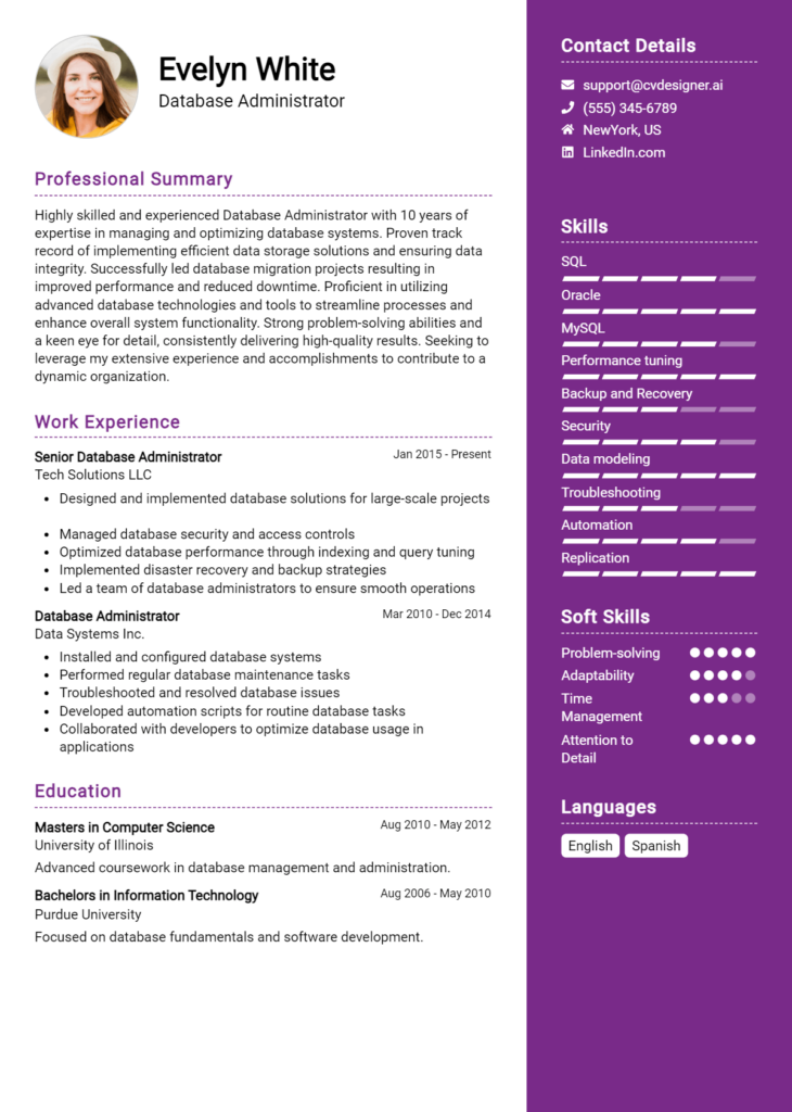 Database Administrator Resume Example