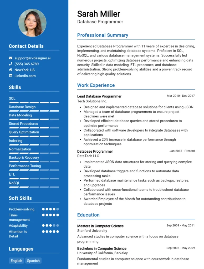 Database Programmer CV Example