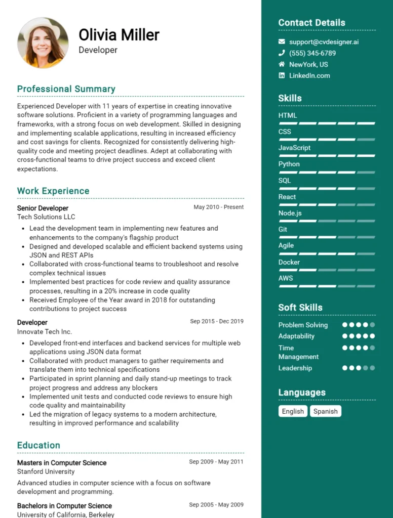 Developer CV Example