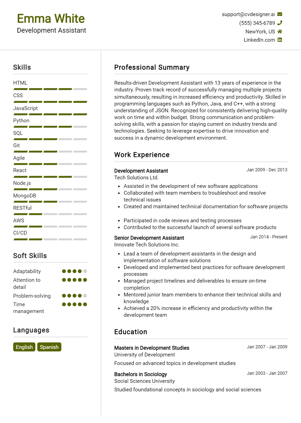 Development Assistant Resume Example