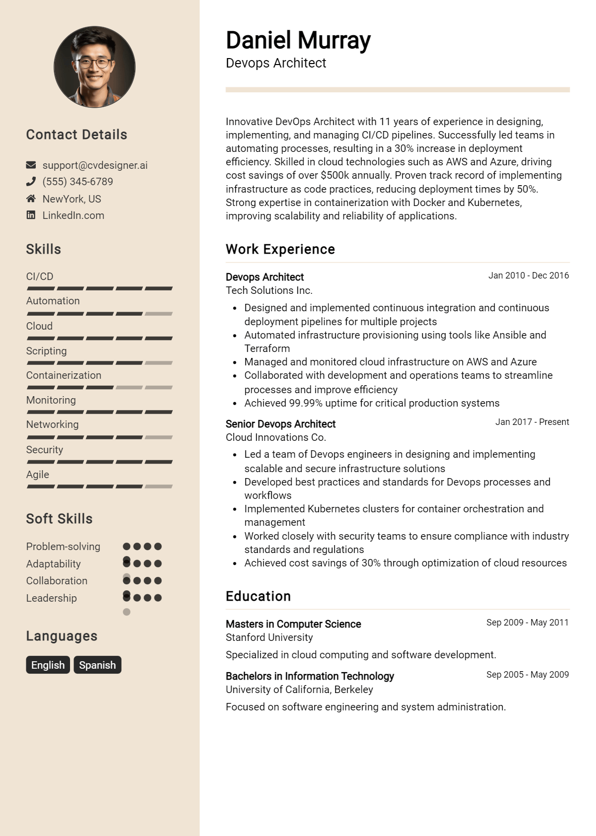 Devops Architect Resume Example