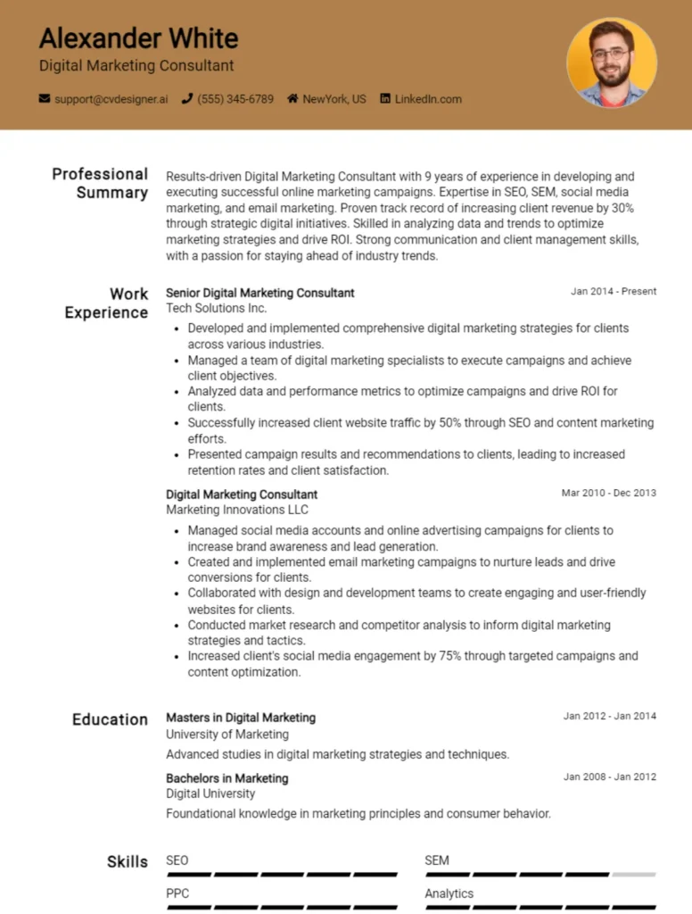 Digital Marketing Consultant CV Example