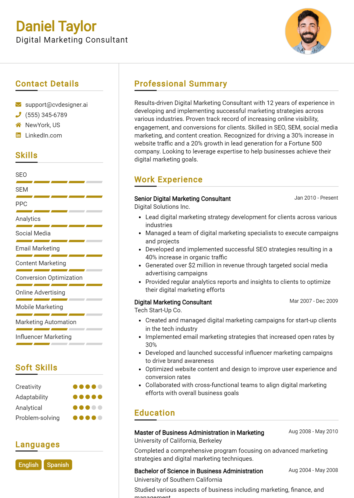 Digital Marketing Consultant Resume Example