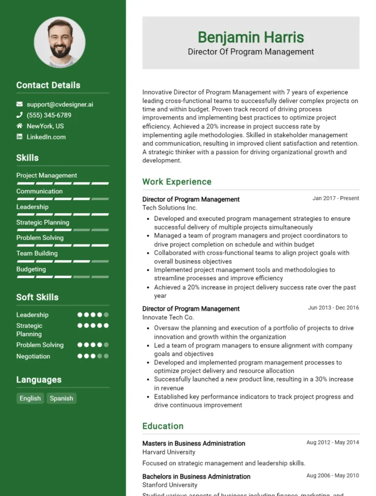 Director Of Program Management CV Example