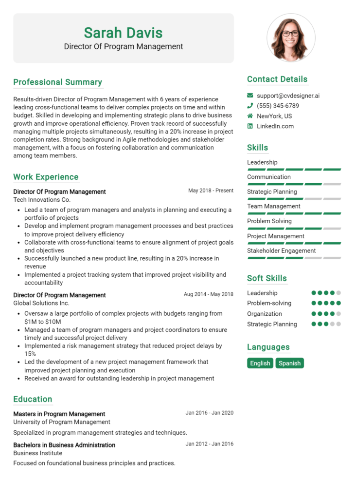 Director Of Program Management Resume Example
