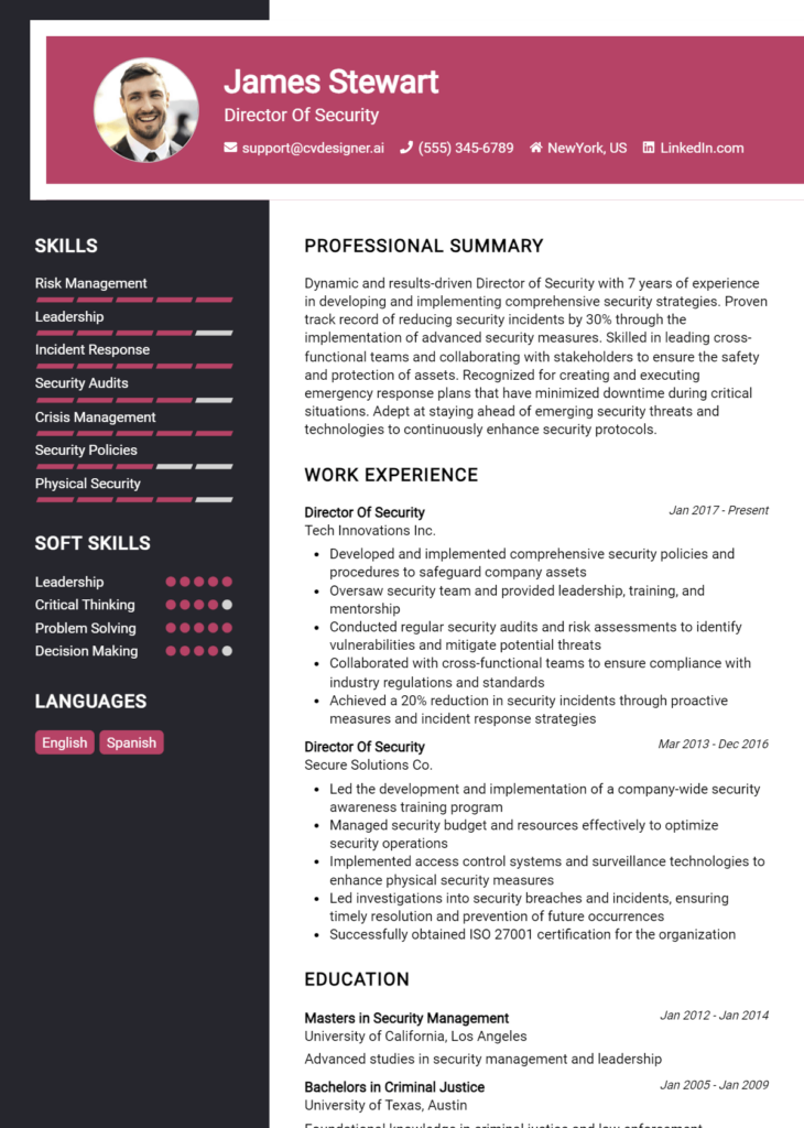 Director Of Security Resume Example