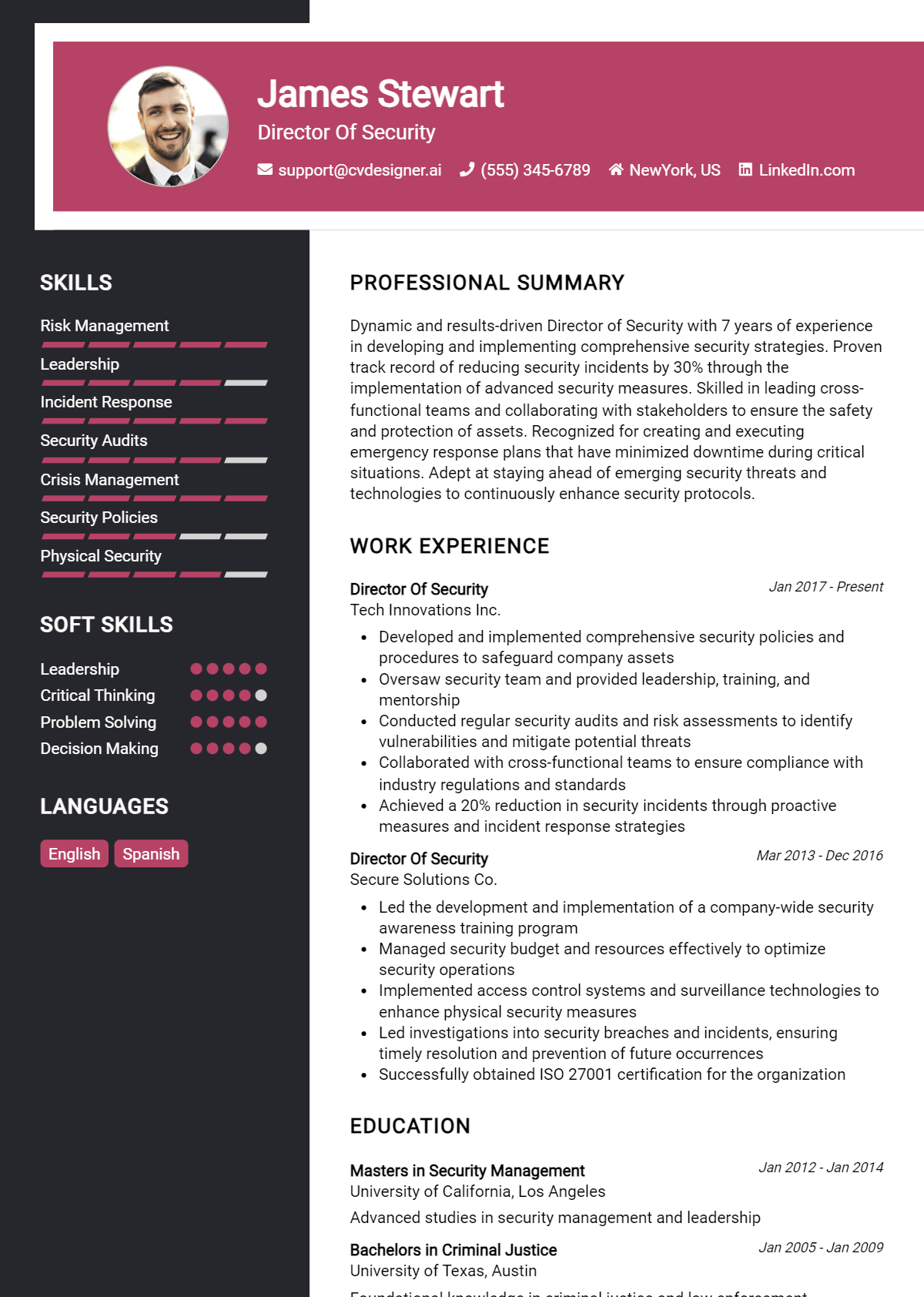 Director Of Security Resume Example