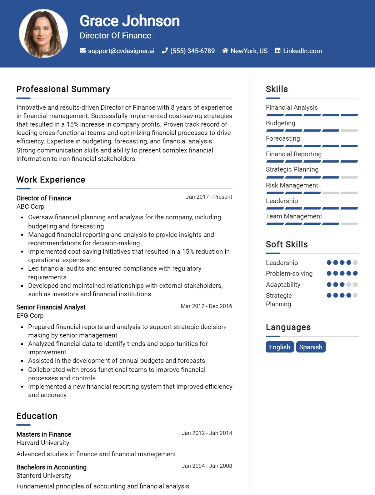 Director Of Finance CV Example