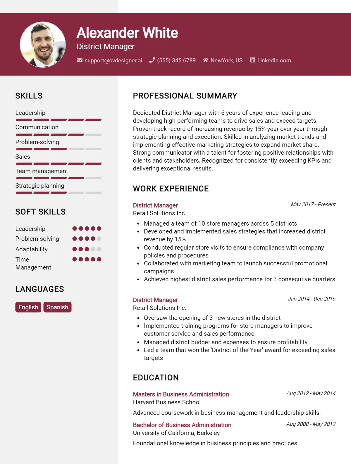 District Manager CV Example
